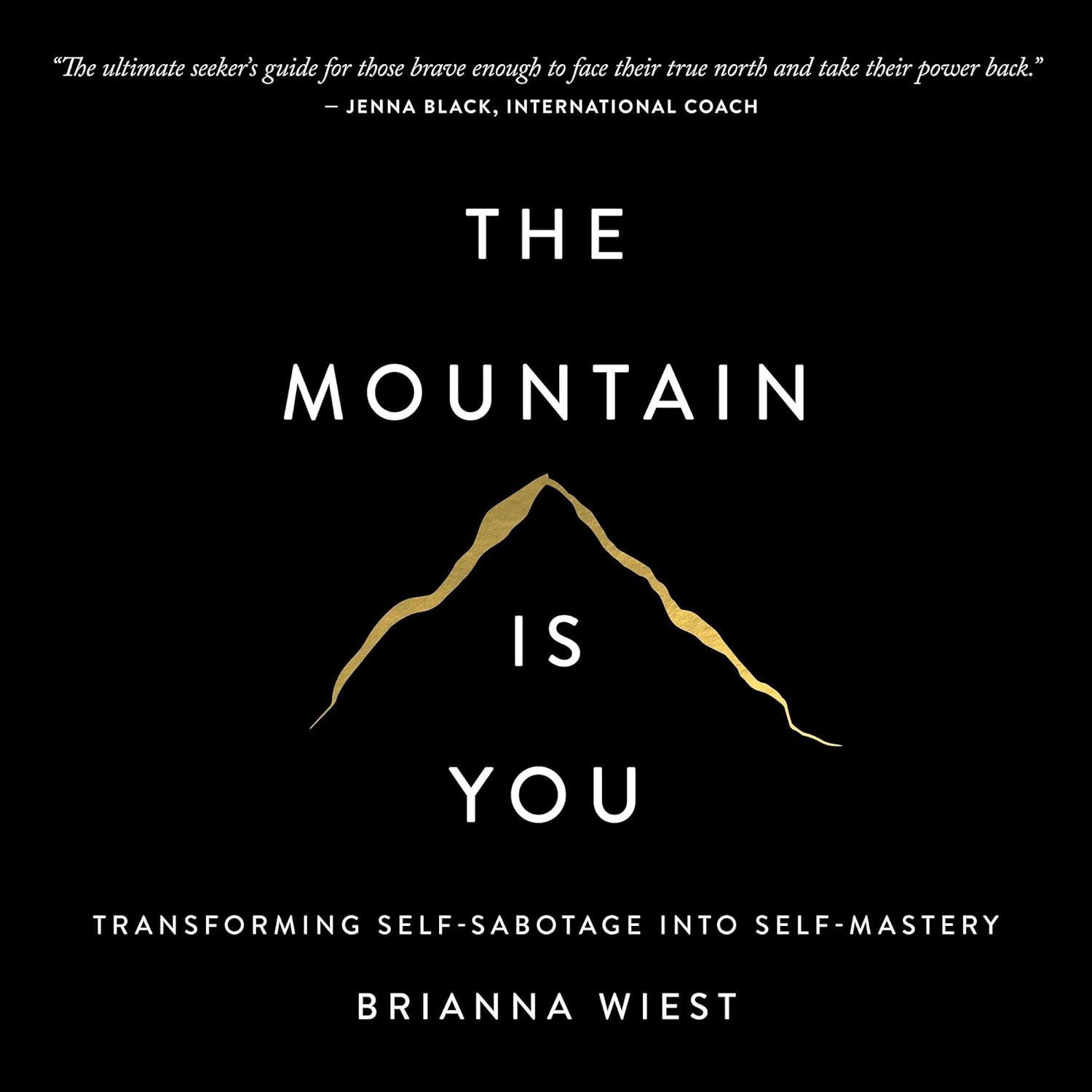 “The Mountain Is You” – Brianna Wiest